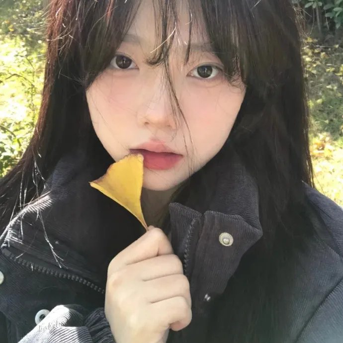 恋恋风尘