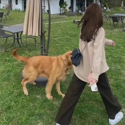 自由的代价
